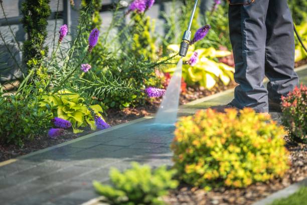 Best Brick and Stone Cleaning in Sherrill, NY